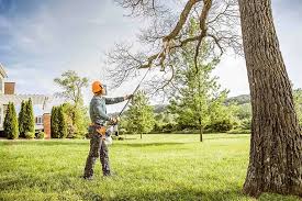 Reliable Dixon Lane Meadow Creek, CA Tree Removal and Landscaping Services Solutions